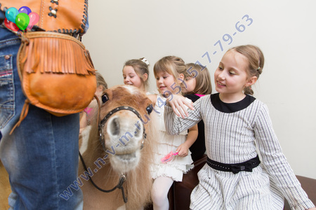 шоу с лошадкой на детский праздник
